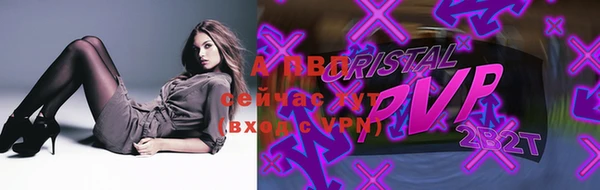 стаф Осинники