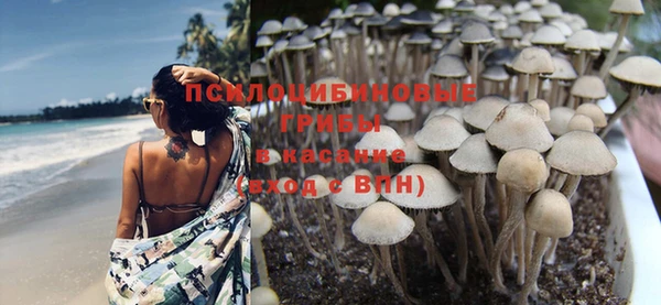 2c-b Балабаново